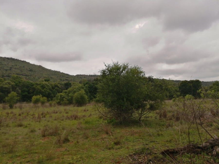 Commercial Property for Sale in Swartruggens North West